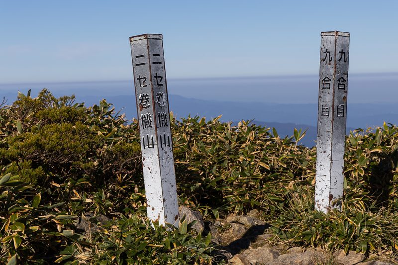 ニセ巻機山山頂の写真。